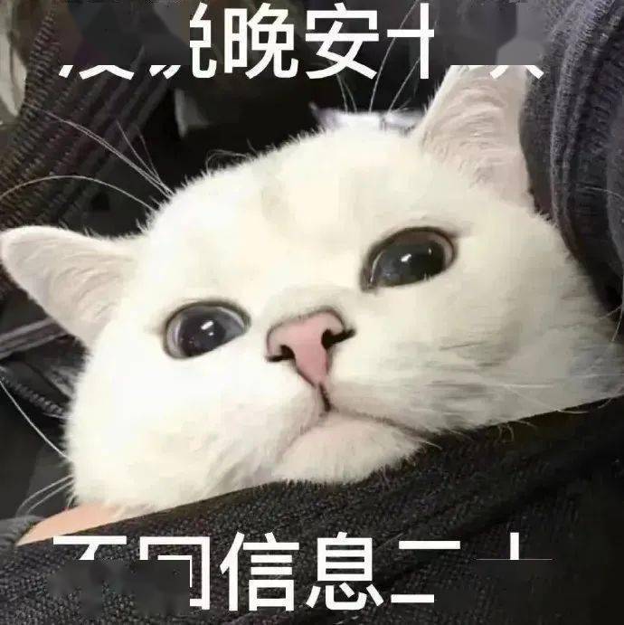 熊猫头晚安表情包图片