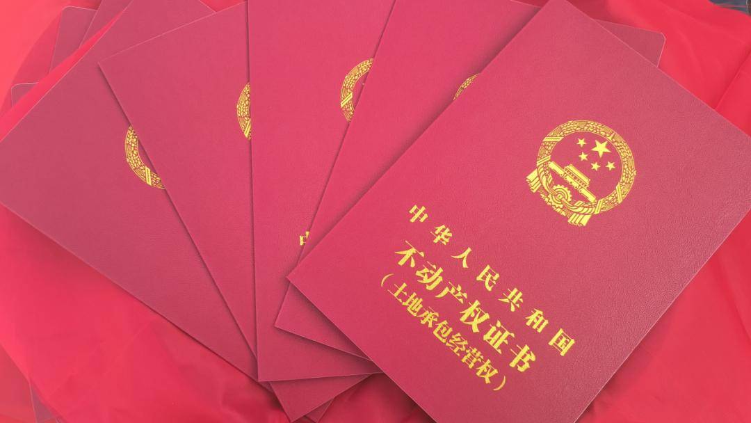 景洪市成功颁发首本农村土地承包经营权不动产证书_登记_勐养镇_村民