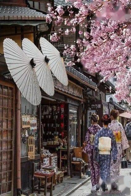 那祗园便是京都和日本的精华,这里曾经是京都有名的花街,有着保存至今