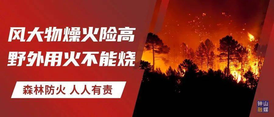 钟山区森林草原禁火令_防火_森林法_规定