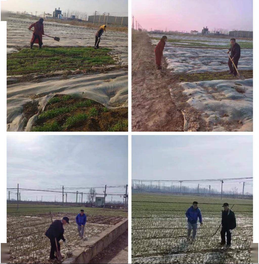 沙土镇网格员的春节_巡逻_行政村_过程