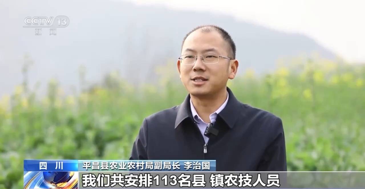 四川省平昌县白衣镇党委书记吴飞:无人机喷洒的水肥雾滴比较大,植物