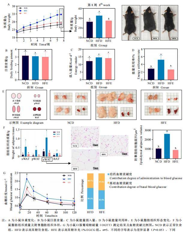 茶科技|egcg如何预防高果糖饮食造成的代谢紊乱?