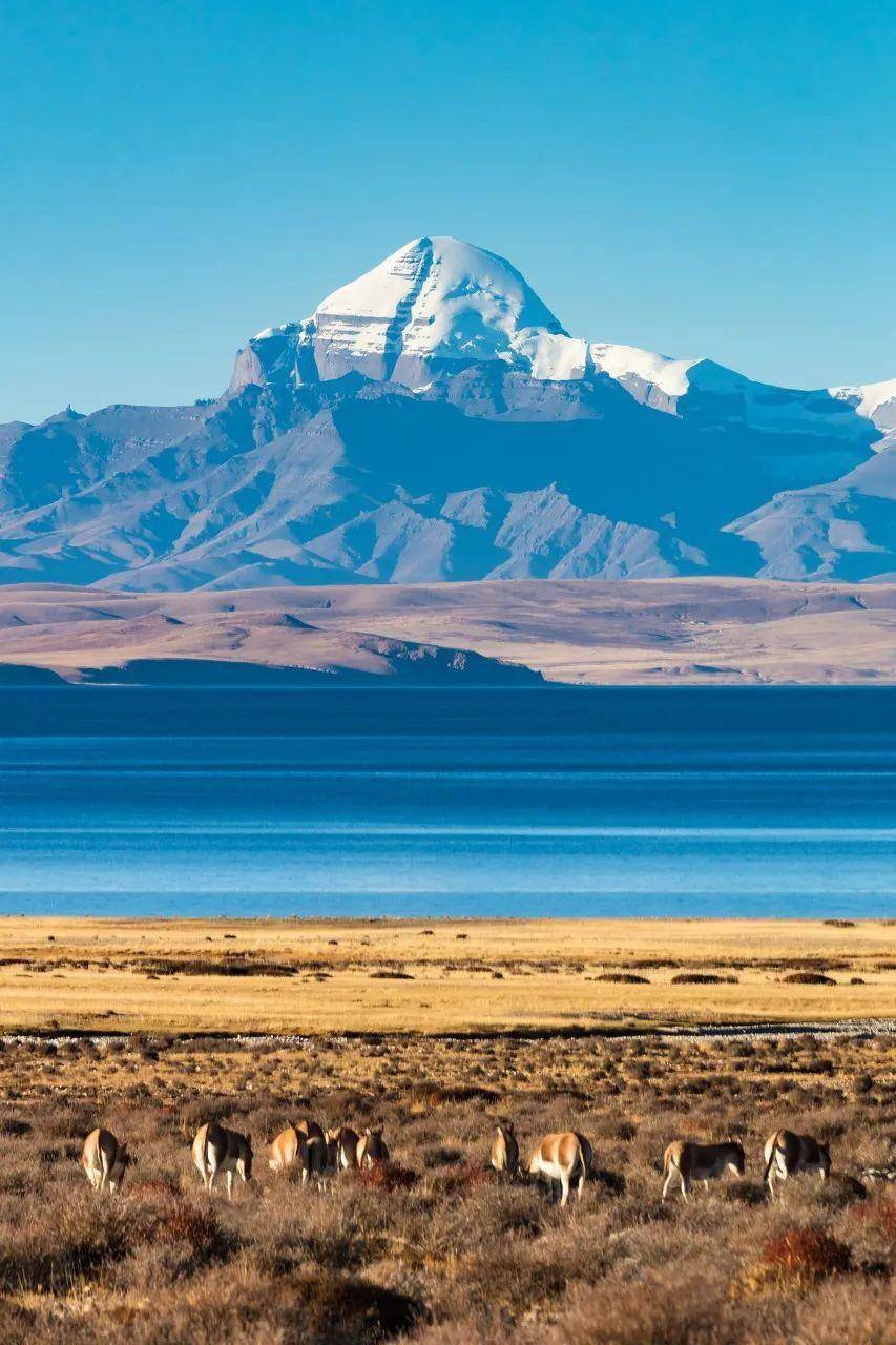 雪山_桃花_湖水