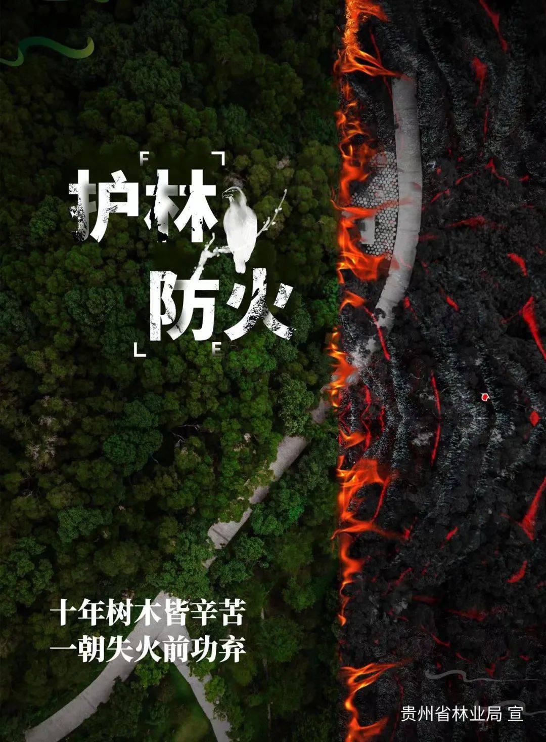 海报丨森林防火 有你有我_杨倩倩_杨青青_审核