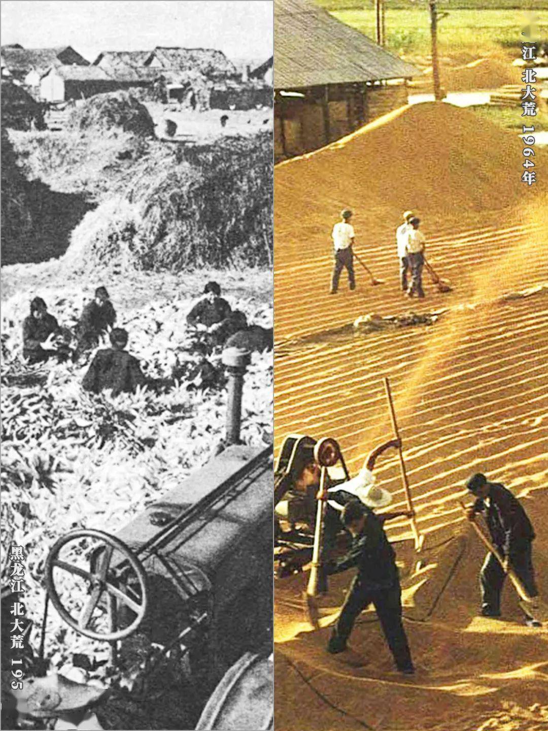 黑龙江_全国_耕地