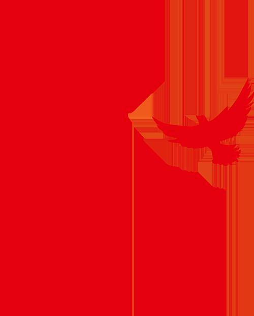 知行合一|2024年屏南籍大学生寒假社会实践活动集体展