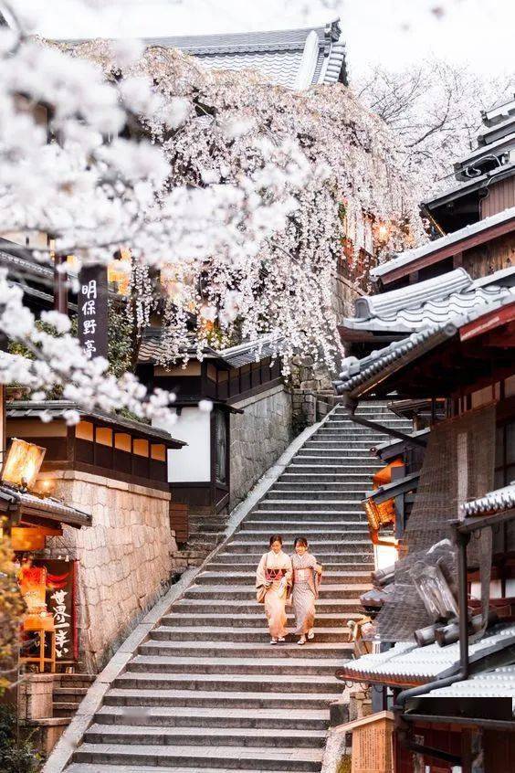 日本关西|粉樱上枝头,在京都 奈良双重赏樱胜地感受独特八重樱世界