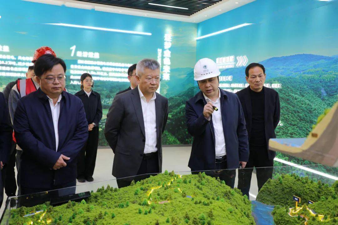 汪驰到泰顺开展"新春走基层,共促开门红"活动_天然气_项目_企业