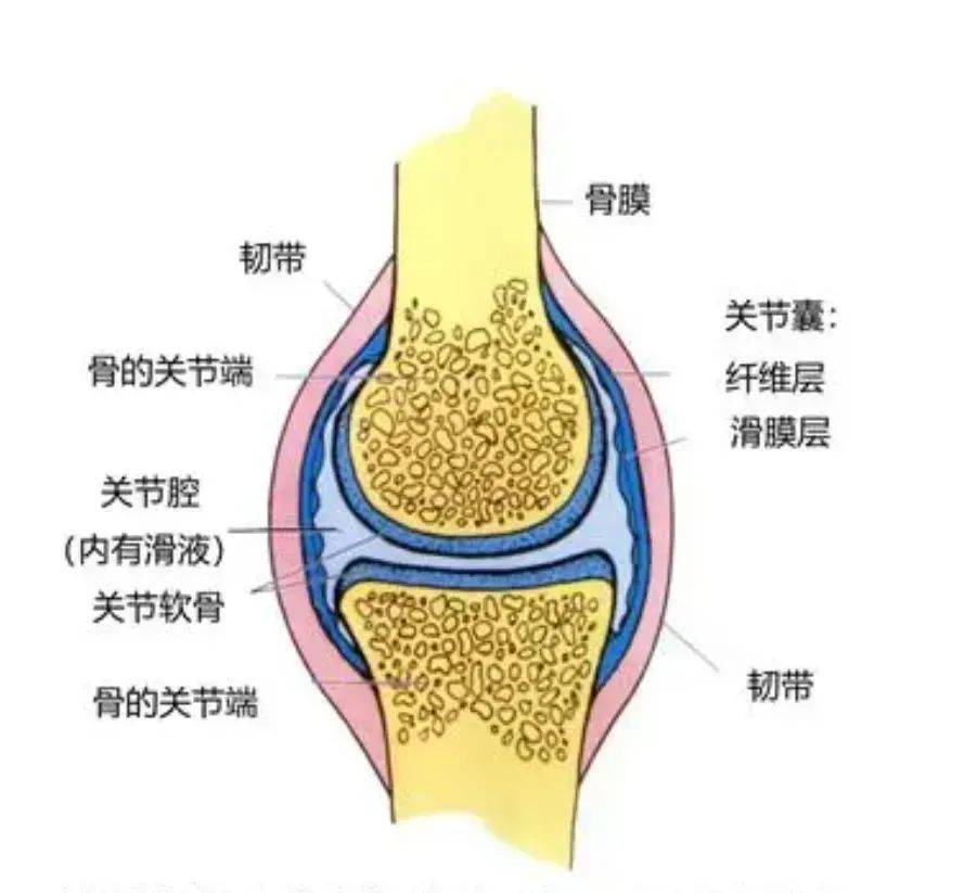 羽毛球人