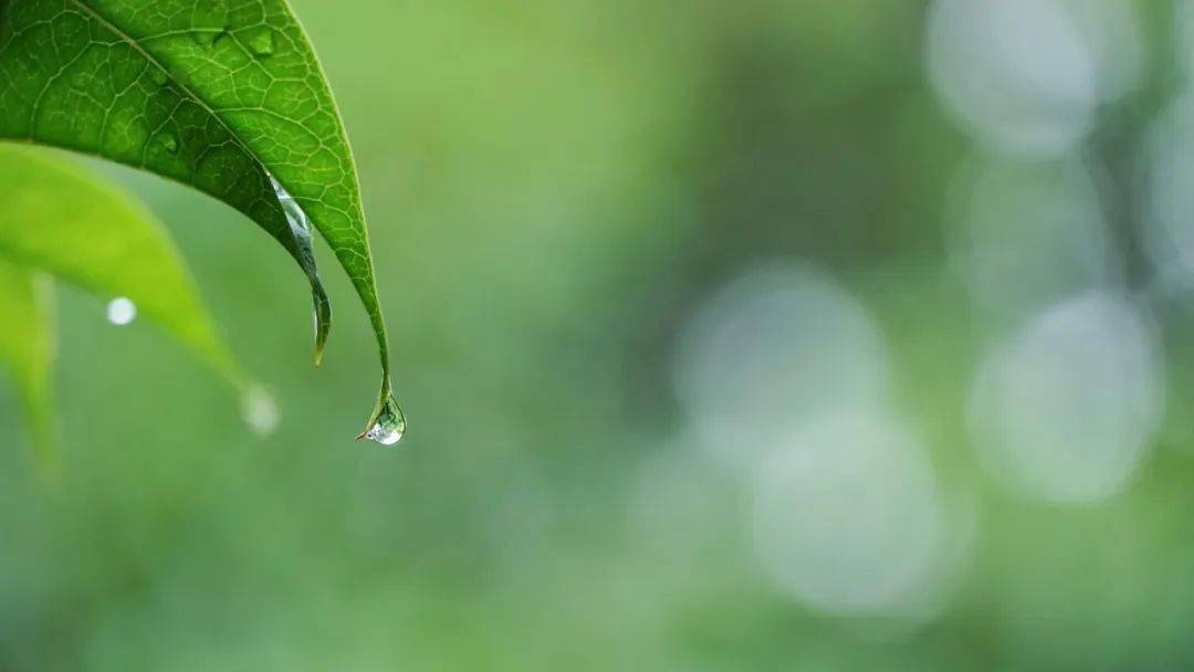 50首春雨诗词,好雨知时节,当春乃发生