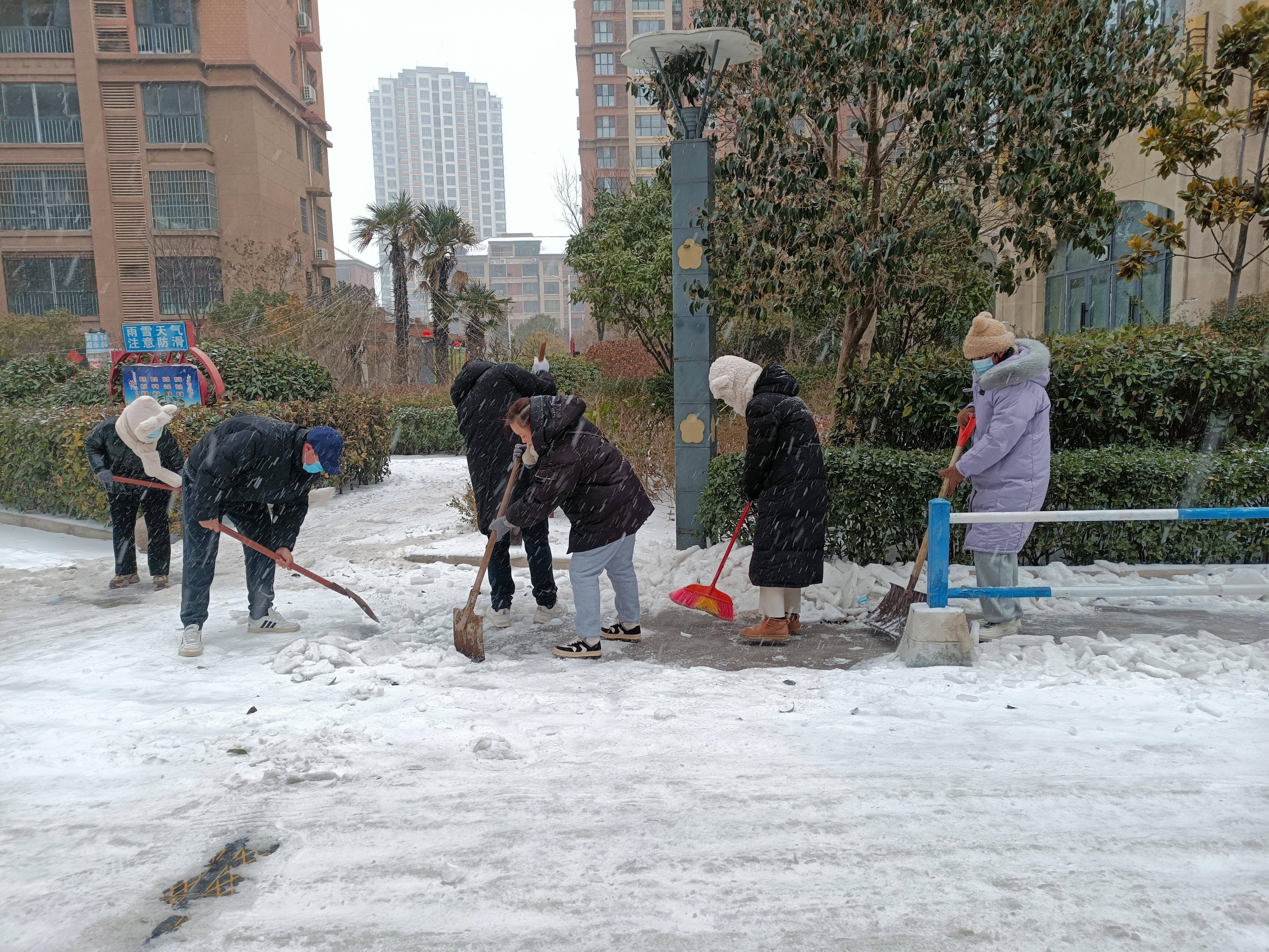 "夷山社区党委副书记陈丽和工作人员来到独居老人丁又新家中,详细了解