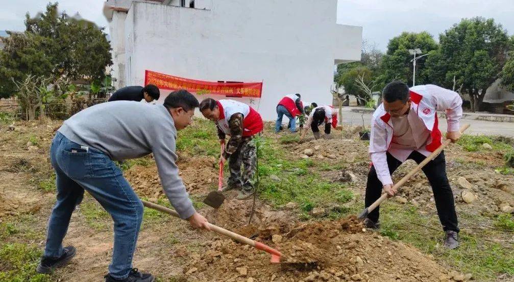 县委办到扶溪镇古夏村开展"一线双联",农村人居环境整治活动.