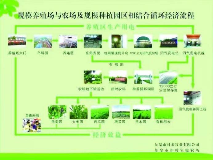 独拥两个"国字号",南通如皋生态农场借绿"出圈"