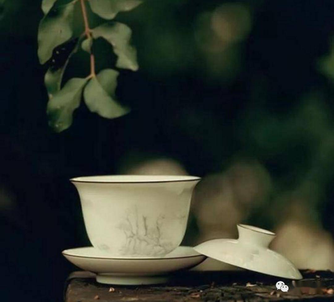 给自己沏一杯淡淡的茶,静品清茗,把所有的心事,委屈,思念全都稳妥地