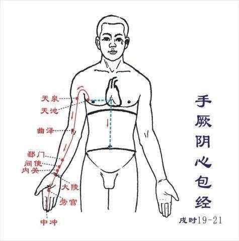 肝脾肾三条经络走向图图片