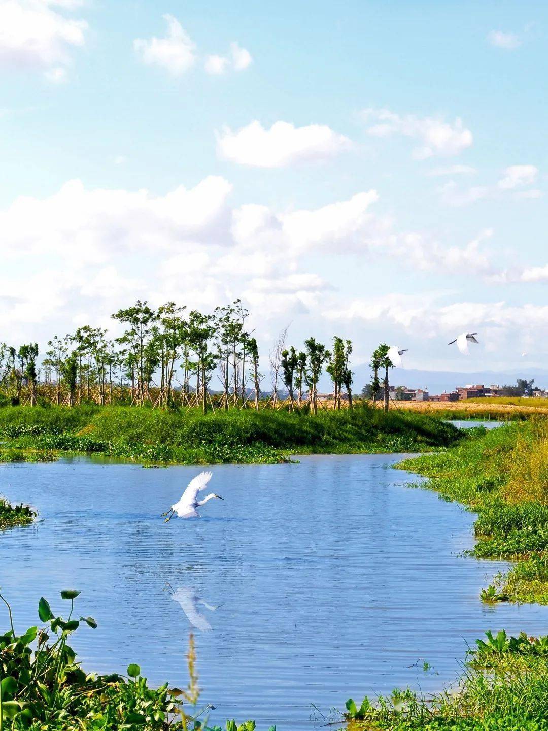 正月初九,莆田平海镇平海社区城隍巡游闹元宵_摄影_秀屿区_林华