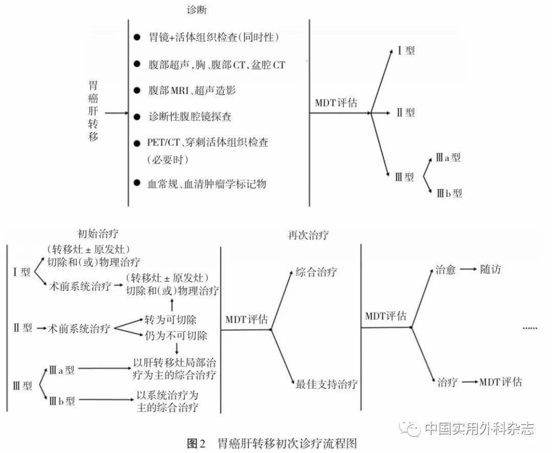 指南与共识|胃癌肝转移诊断与综合治疗中国专家共识(2