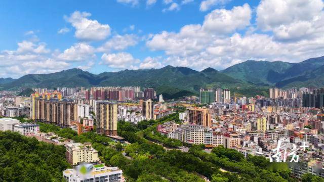 高质量发展看云浮,五县(市,区)主官表态这样干_产业_绿色_科技