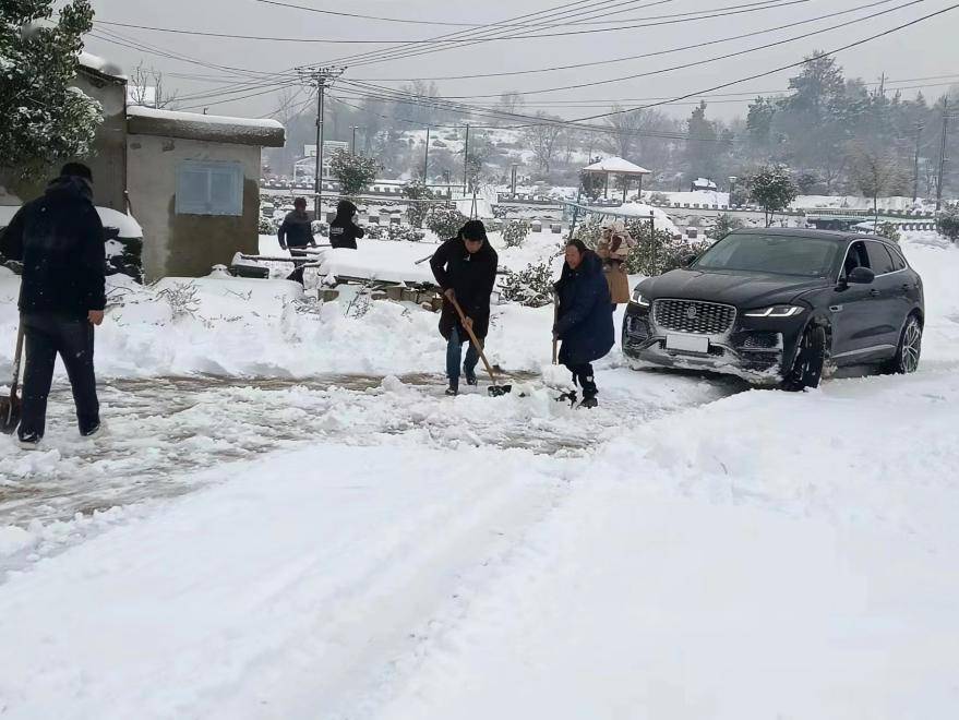 女士_车辆_情况