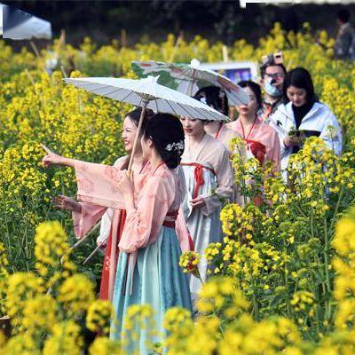 打卡太空油菜花树 潼启涪江醉美春天 重庆潼南菜花节2月28日相约"潼"