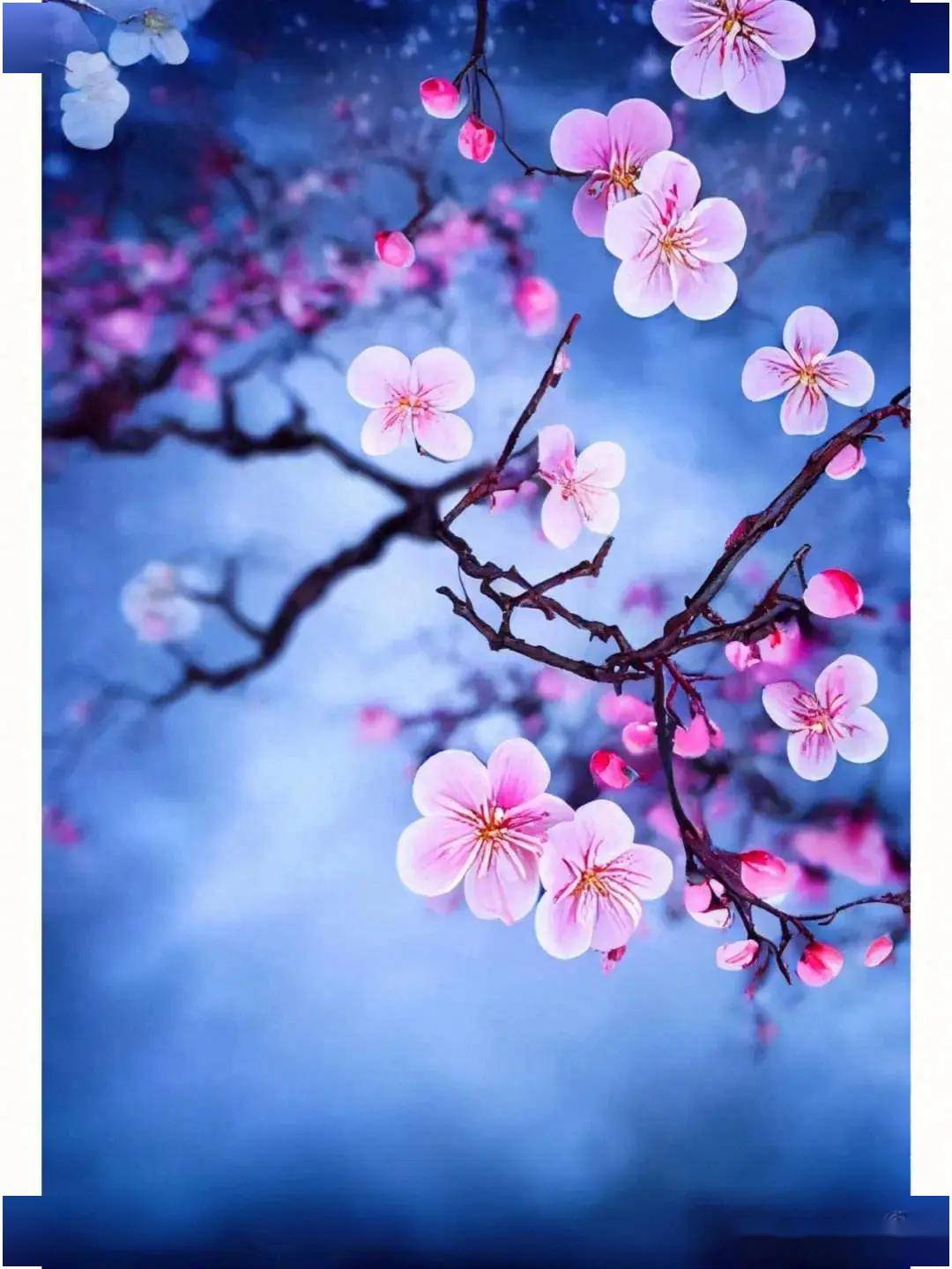 飞雪惊心非蝶梦,开花动泪是魂声.琼瑶喜色冰容代,细雨柔怀苦色更.冷遇