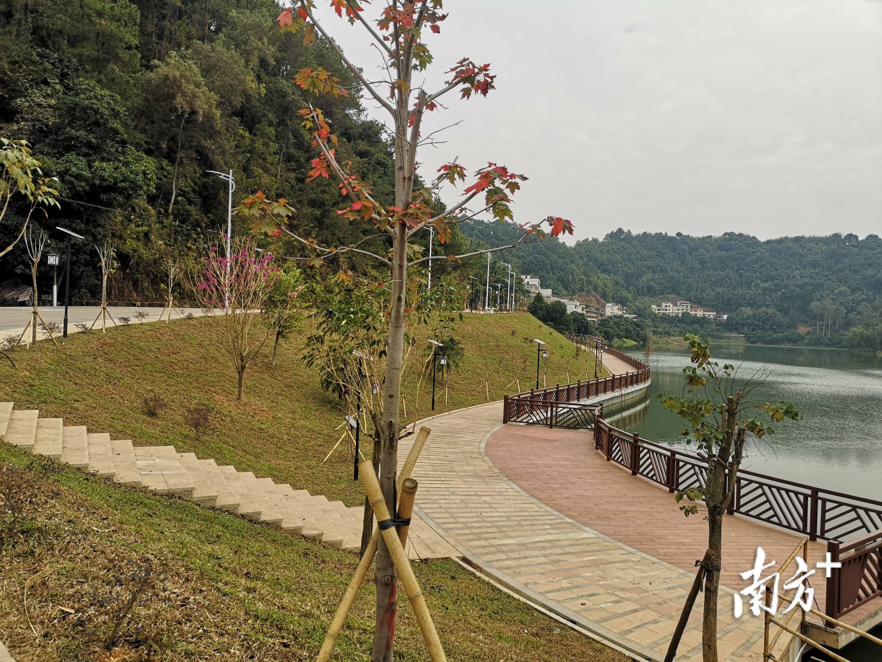 超级养眼!郁南千官云霄水库碧道"上新"