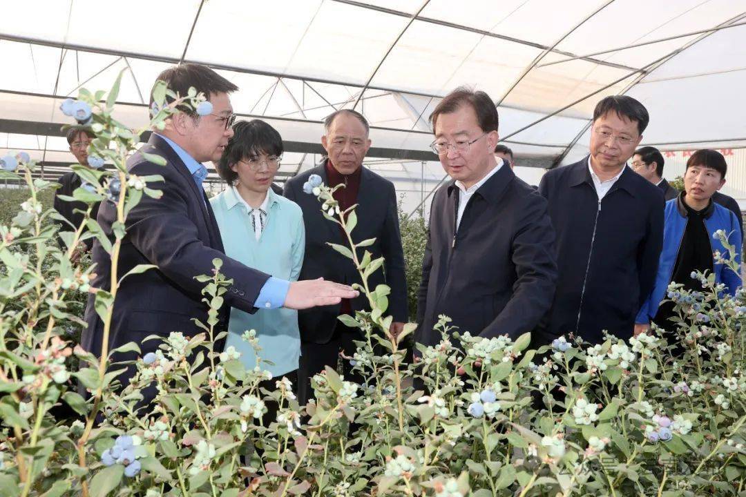 王宁在红河州调研时强调:改革创新 务实办事 为民造福