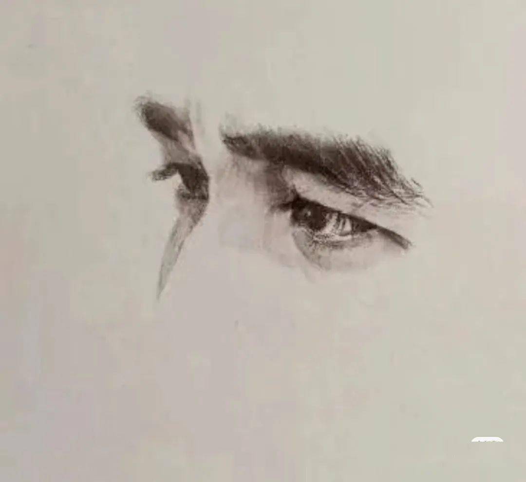 第3639季【张洁素读】荆棘与玫瑰——读《孤独之旅》_杜小康_世界