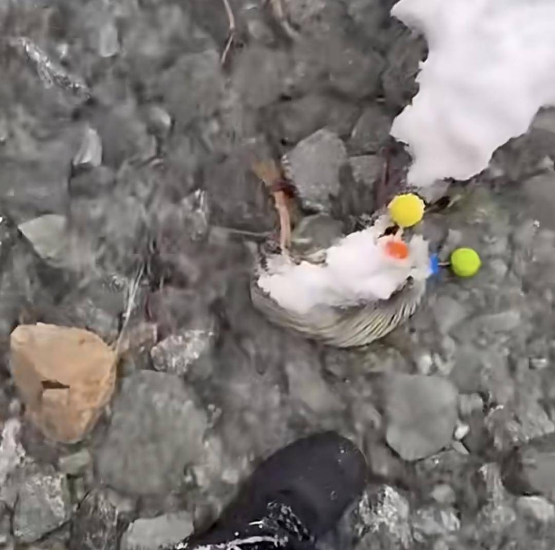 22岁华人女留学生独自徒步"死亡山谷",不幸身亡!