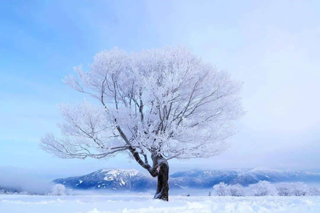 无论是冬季纷飞雪中的大气磅礴,还是春季薄薄细雪的纯净无瑕,老白山