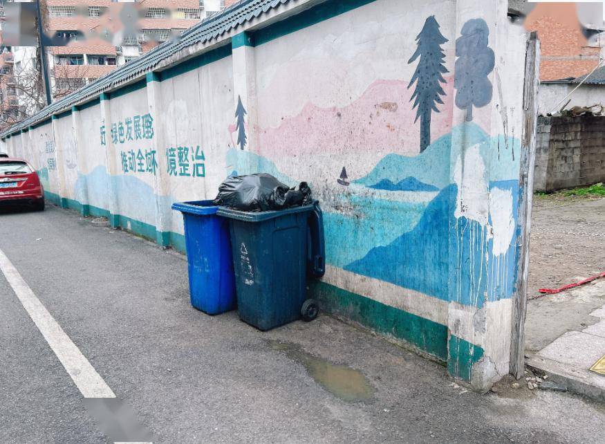 "强城行动"看永嘉·瓯北进行时 | 创新"撤桶定点"模式 提升城市道路