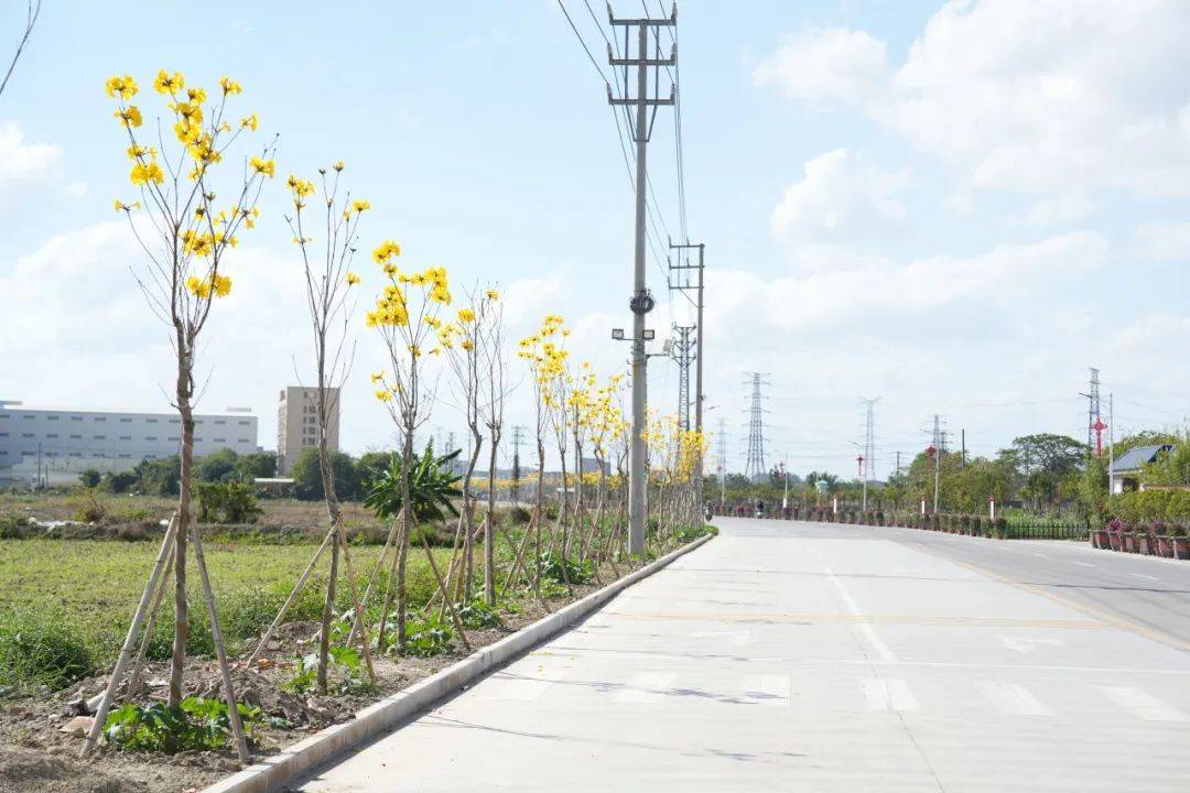 潮南峡新路,北环大道._春花_峡山_新芽