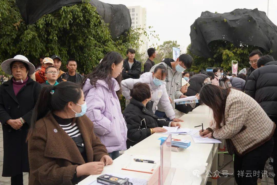 祥云:一场开在"家门口"的招聘会_就业_企业_图文