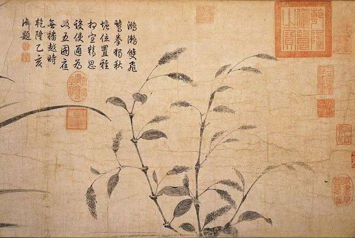 一张闷骚的纸_花笺_纸张_作品