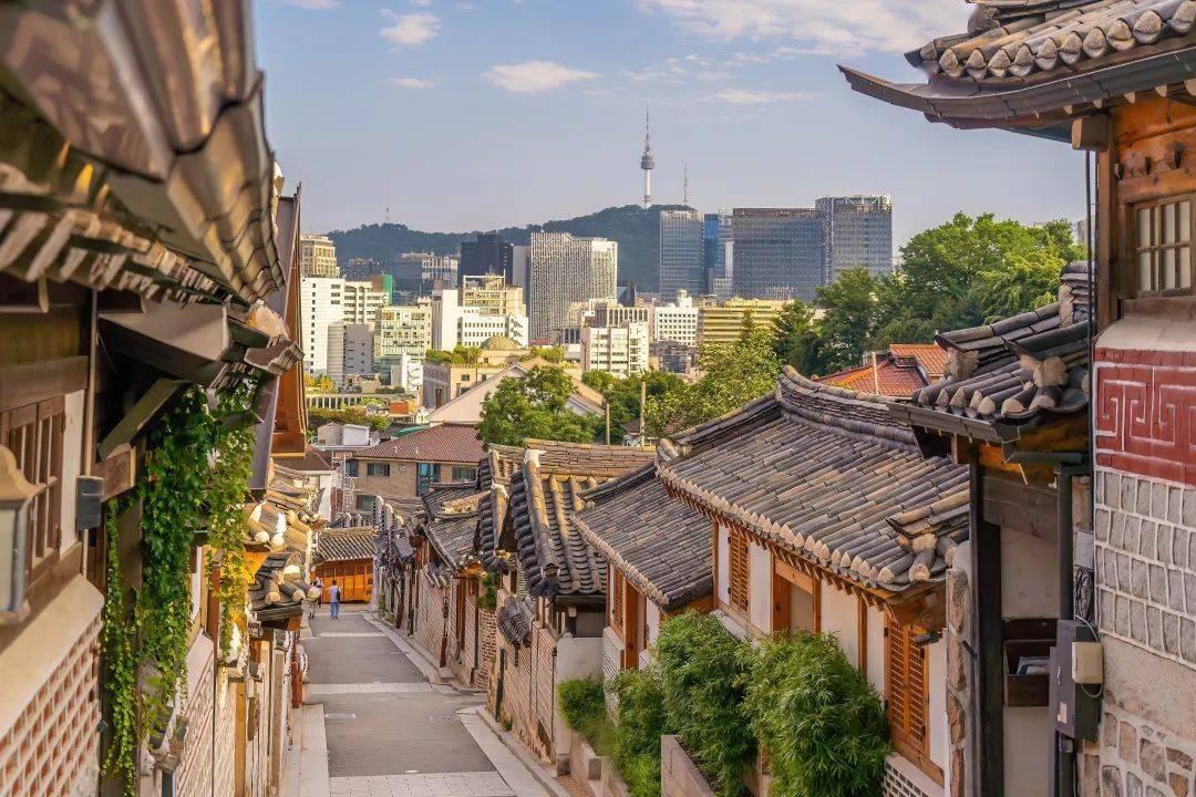 来一场城市漫游,去首尔遇见樱花!_韩屋村_旅游_澳门