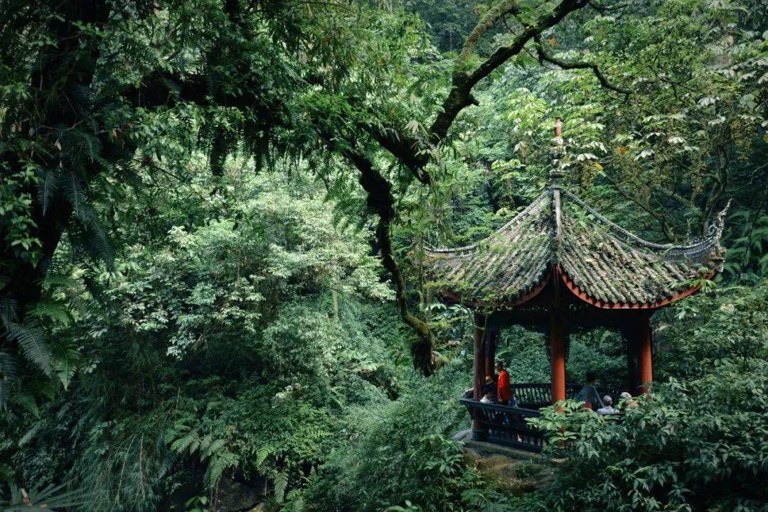 峨眉山5条宝藏徒步路线,不来会后悔!_全长_线路_清音阁