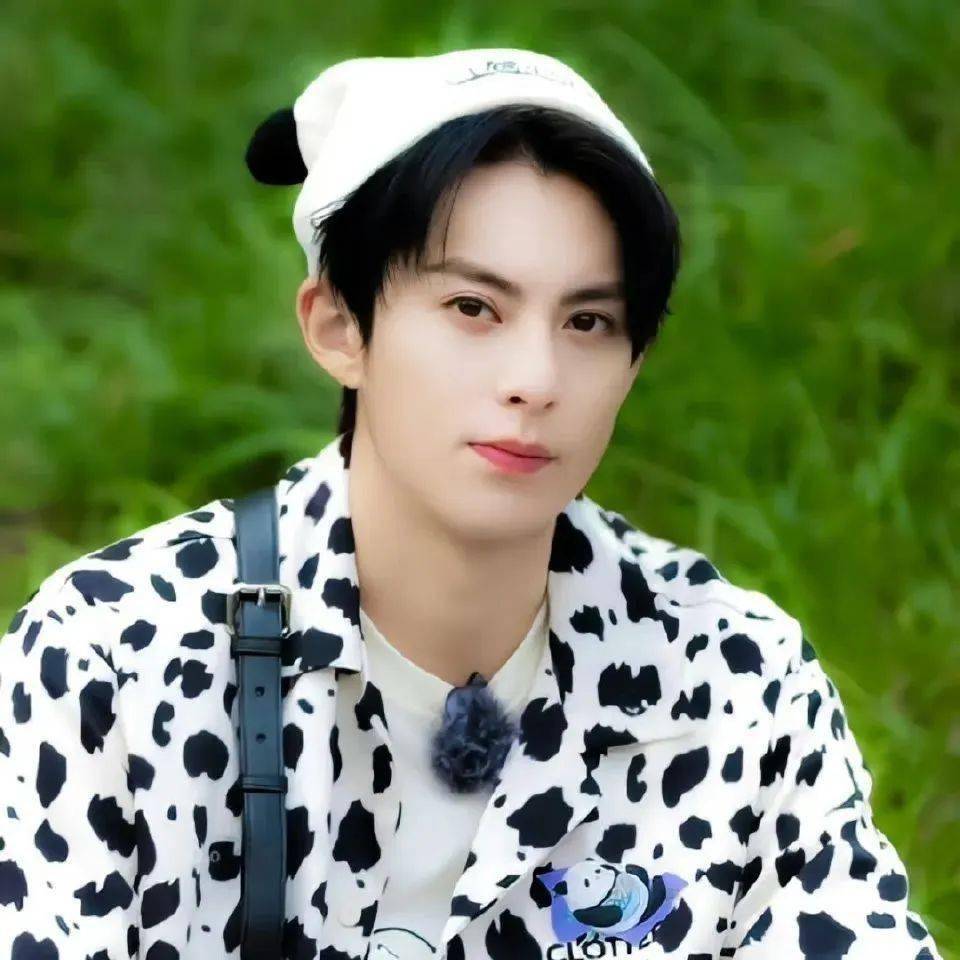 王鹤棣头像9590999690·你的汤圆什么馅71团团圆圆 幸福