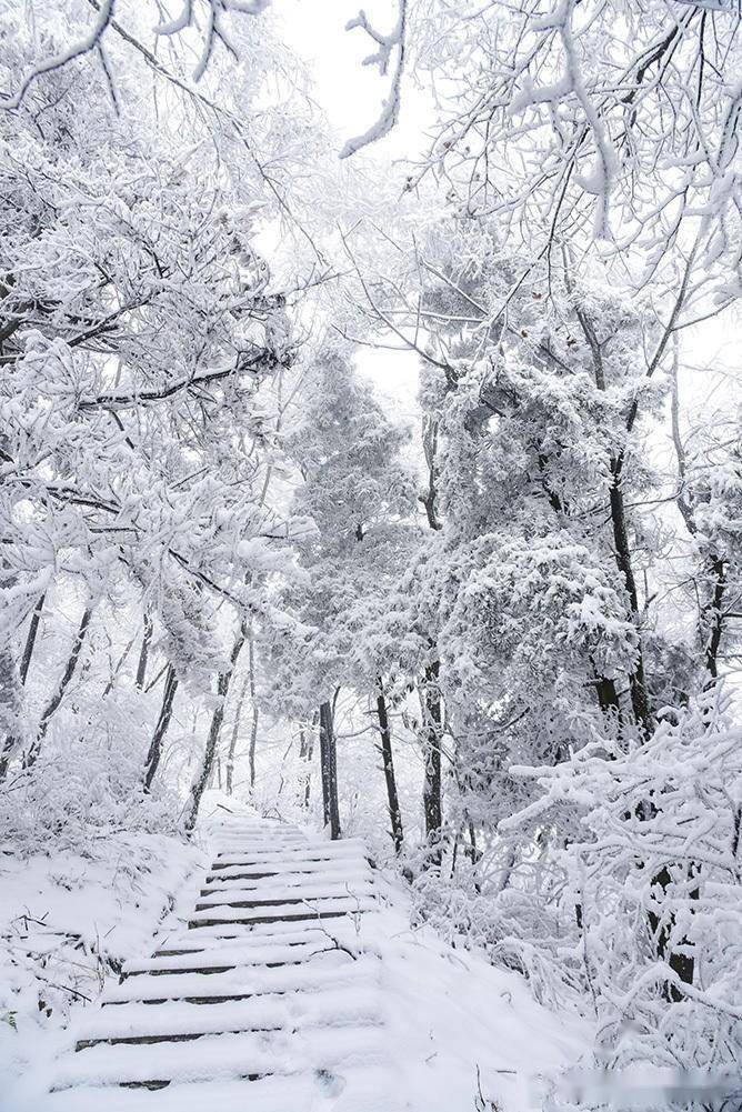 元宵节赏雪汉中大汉山_积雪_树枝_金石