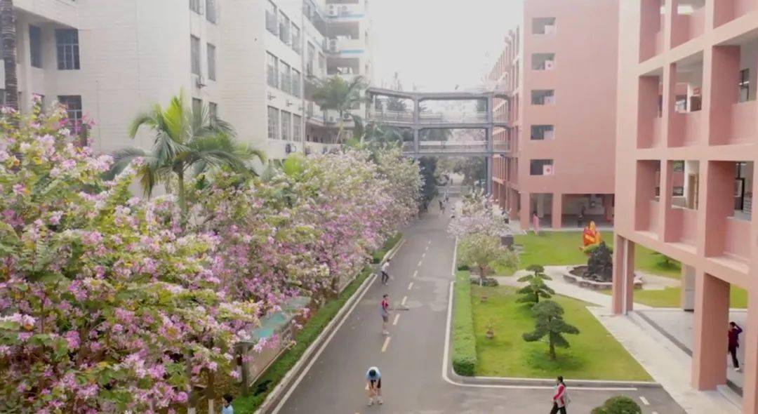 博中100周年庆:将启用新校徽,更多细节→_标志性_校园_场景