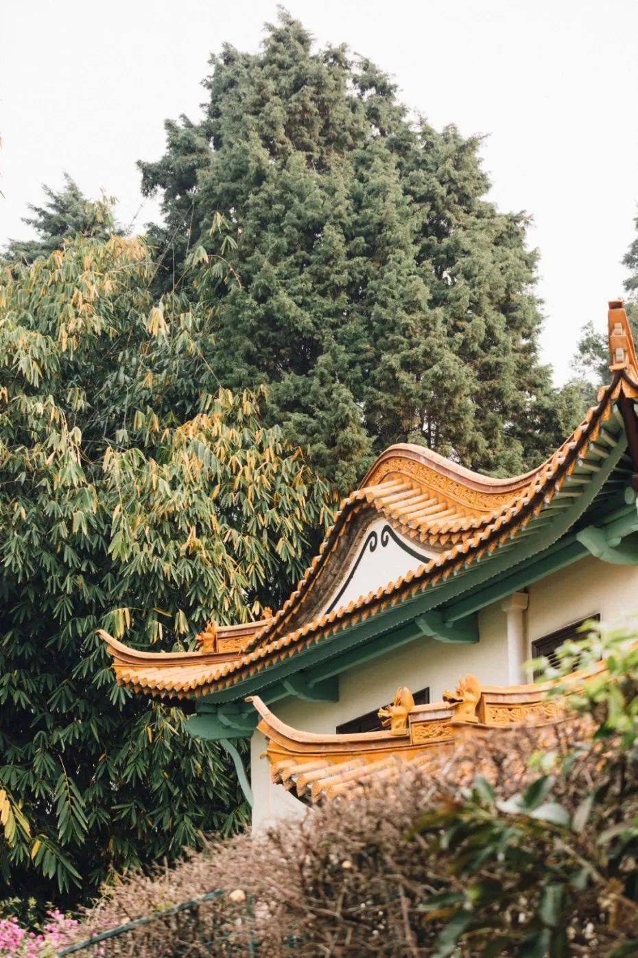 好~long~一~条~江~ 盘~在~城~中~央~_龙江_盘龙_公园