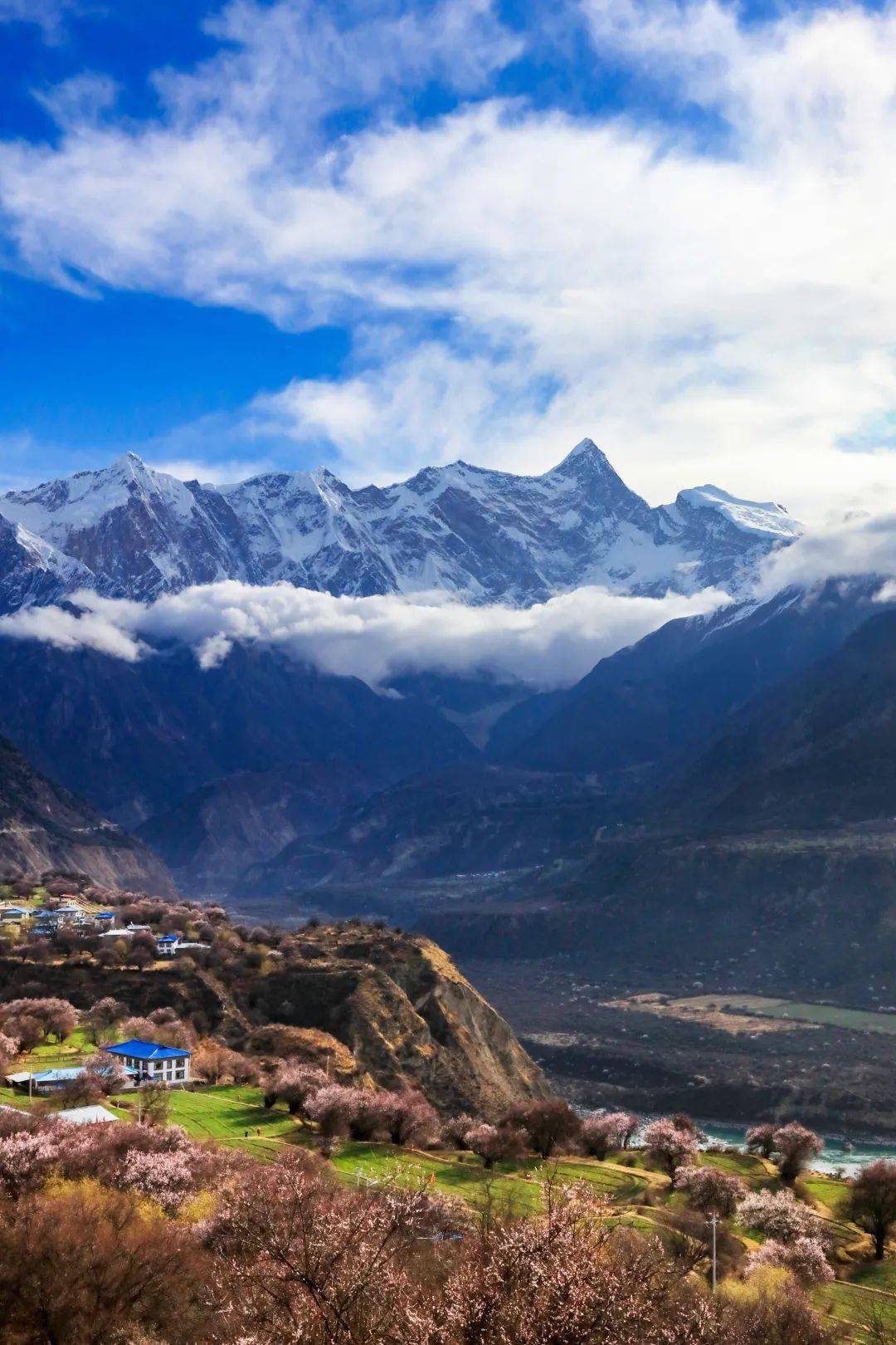 林芝地区最高的山峰南迦巴瓦·云雾中的冰雪神山-10-秋季则万山红遍