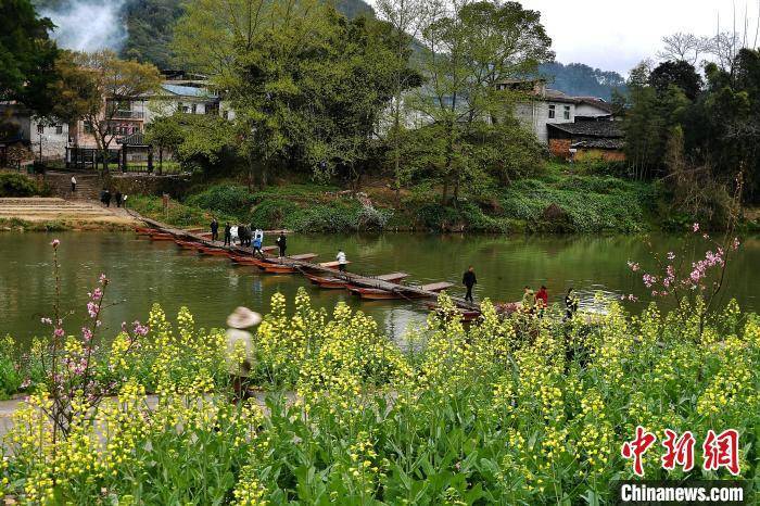 花开福建:"中国传统村落"吉山村油菜花开分外美_永安市_张斌_游客