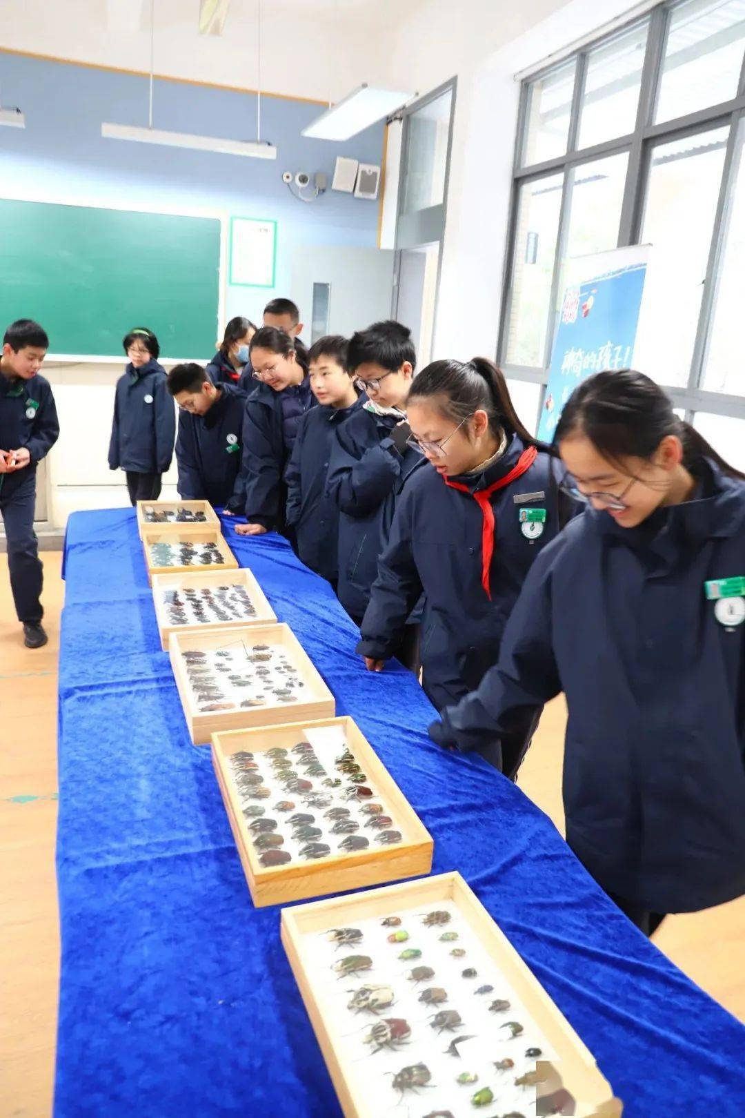 幼儿园_祝福_小学