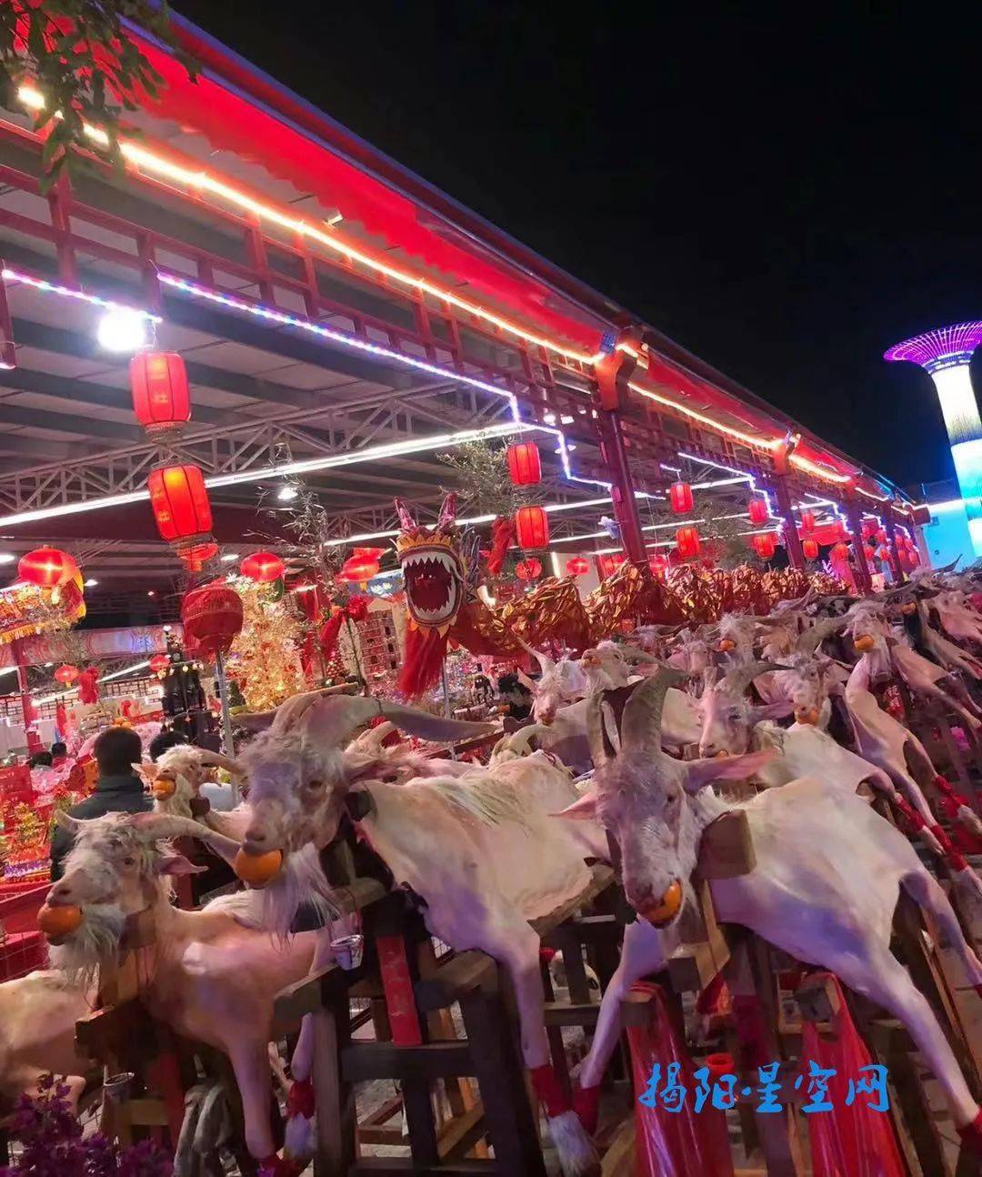 揭阳新亨上社村非遗项目"摆猪羊"隆重登场!近千头猪羊超旁派!