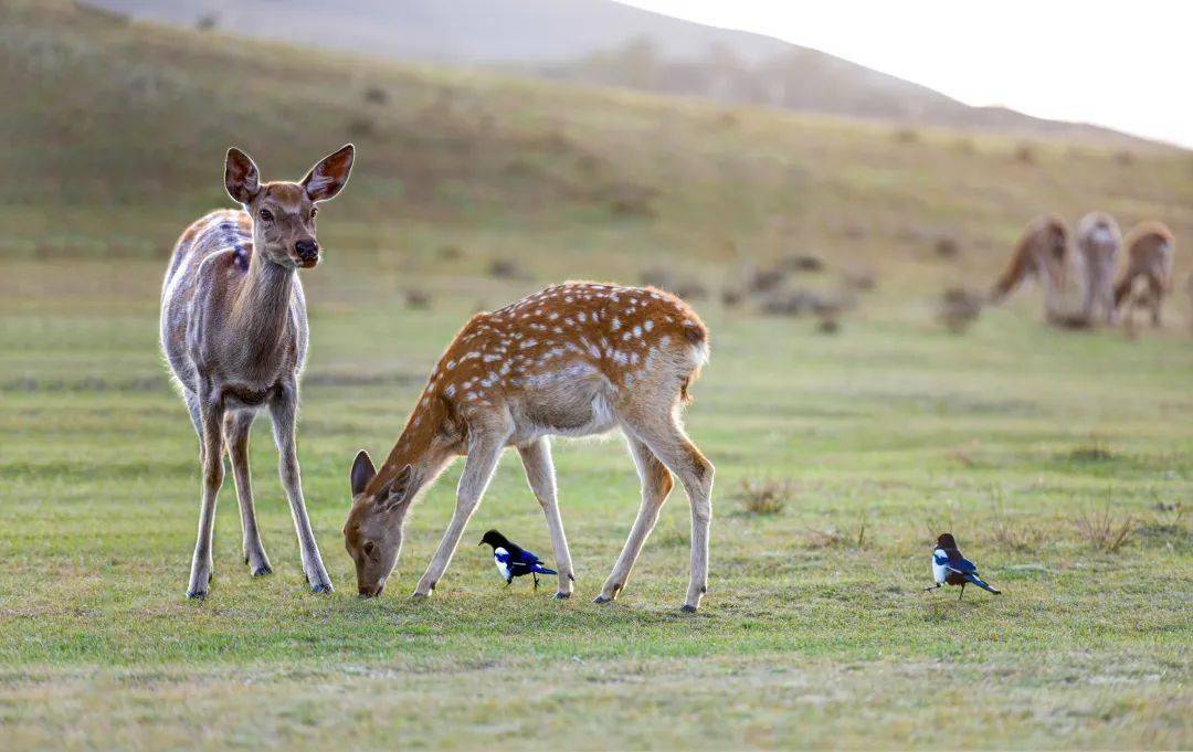 宁舟浩:物相心生,方得慧眼 | 1月月赛"闲暇时光"佳作_摄影家协会_作品