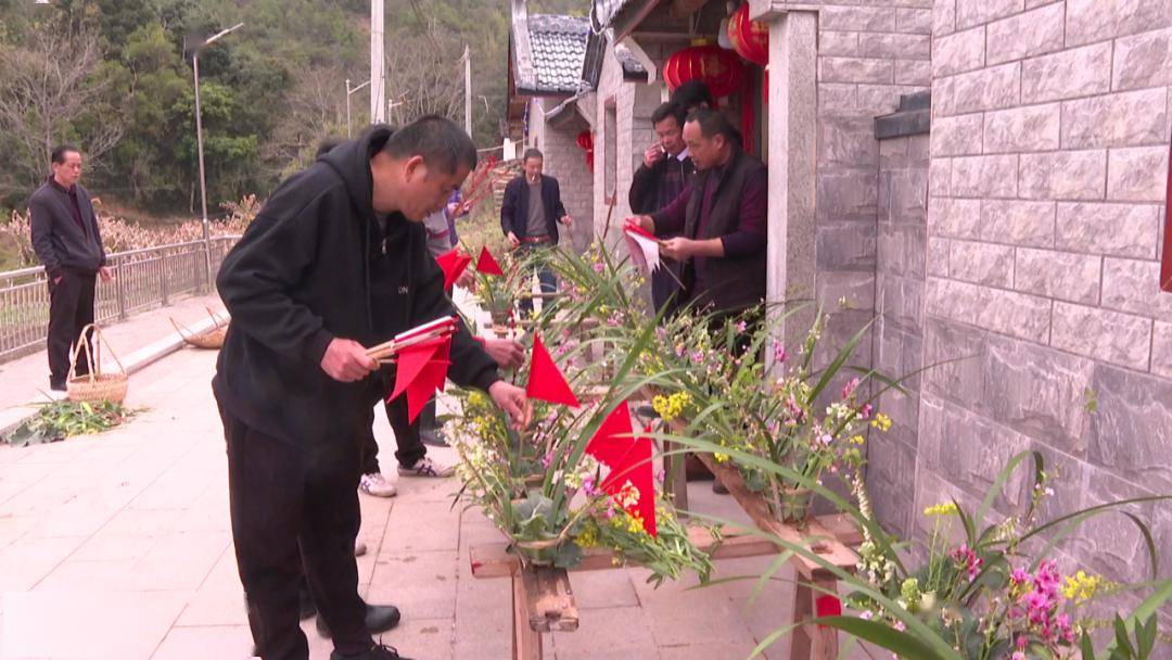 每年正月十五元宵节,砂田镇岳坑村都会举行迎"菜花灯"闹元宵活动.