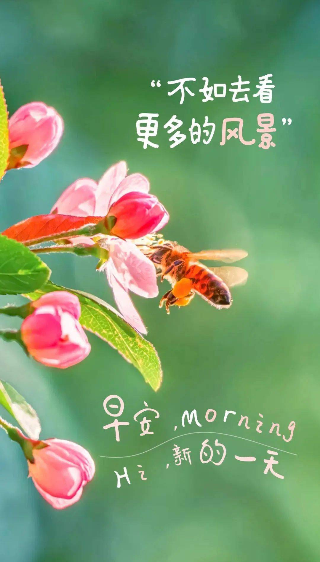 2月25日早安发圈正能量语录句子:你想过的那种生活,得自己去挣!