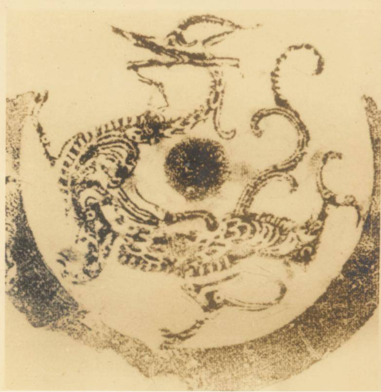 大小青龙汤,黄龙汤如何得名?"龙"药家族有哪些?用"龙"有术话中医!