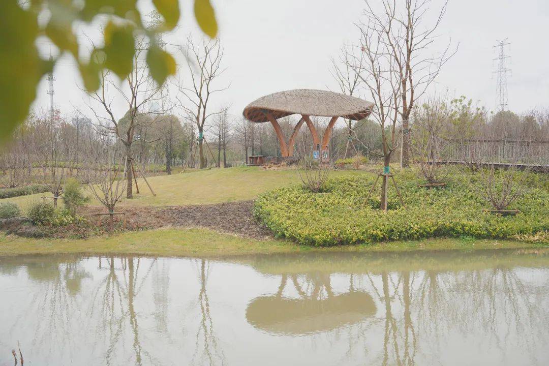 未来还有"三兄弟"要登场,更能串联起3个区→_建设_市民_绿化